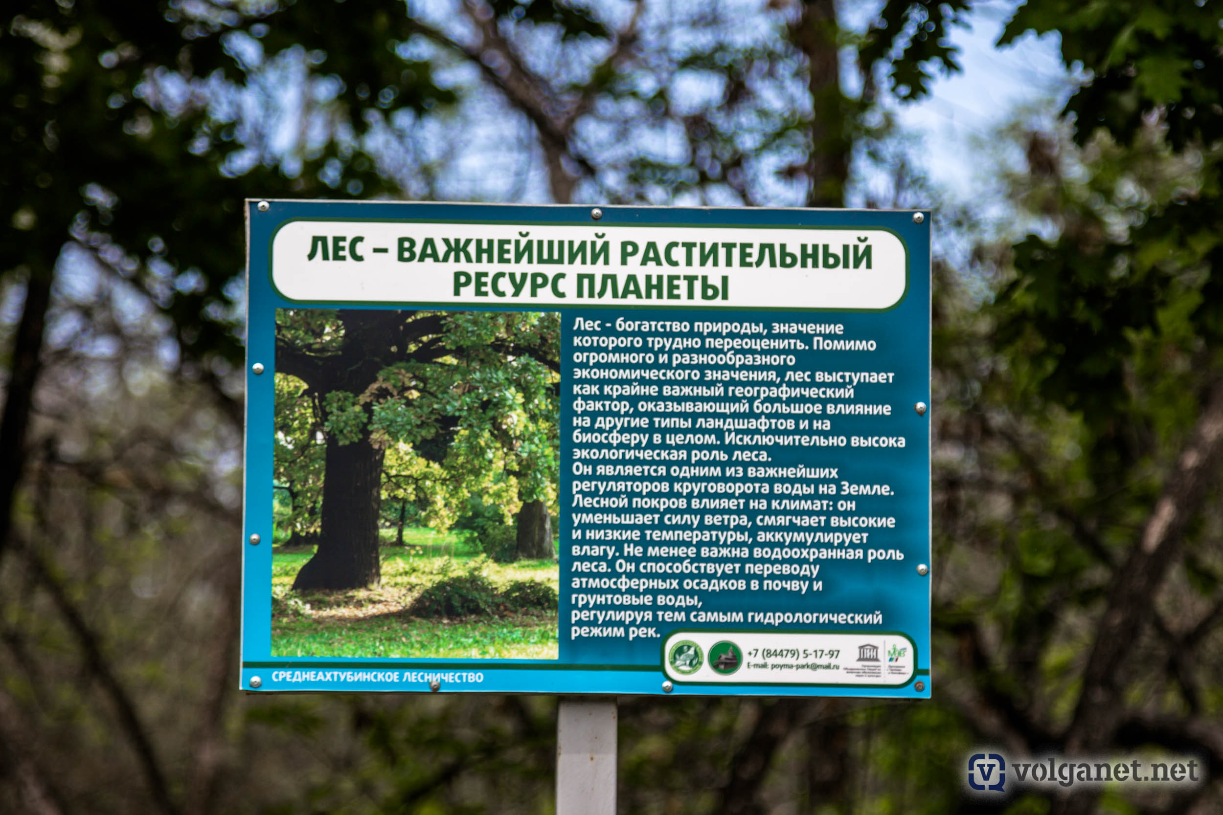 Помимо лесных богатств предложение