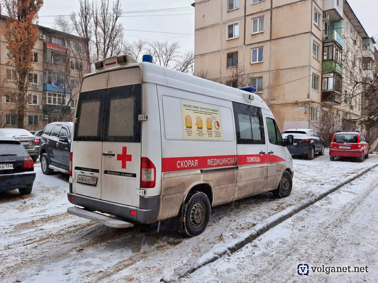 Нападение стаи волков на село под Волгоградом оказалось фейком -  Volganet.net