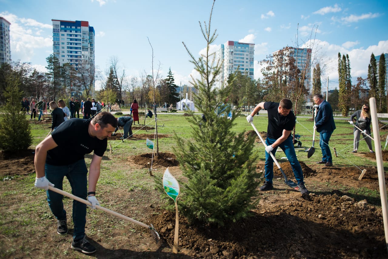 Высадка деревьев в парке Раздолье Волгоград