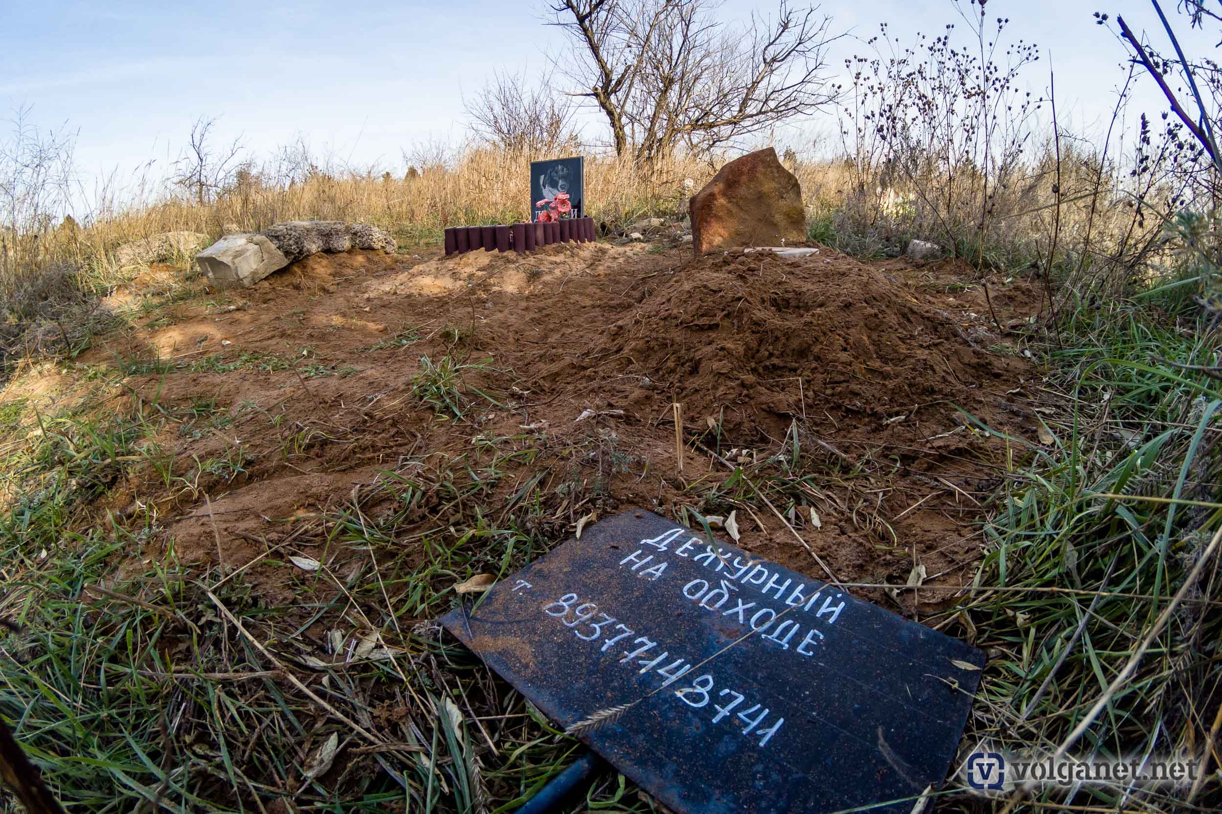 Ритуальная монополия: волгоградская прокуратура в суде борется с  бесчинствами «Памяти» - Volganet.net