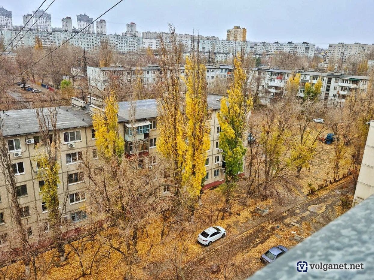 Волгоград в ноябре. Снежинка Волгоград. Ноябрь первый снег.