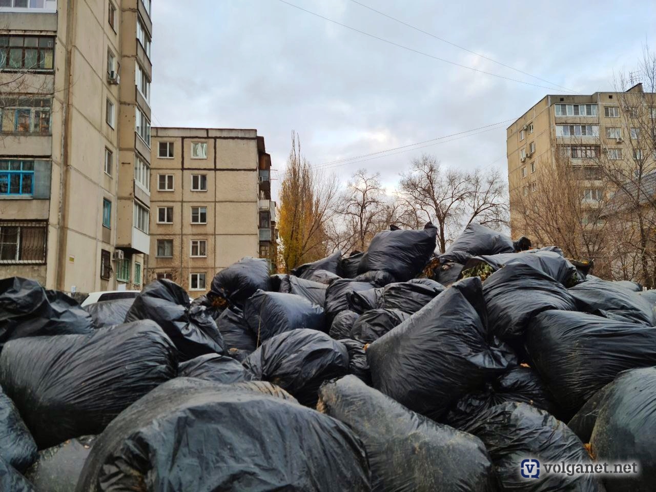 Приставы за долги арестовали имущество «Ситиматик-Волгоград» - Volganet.net