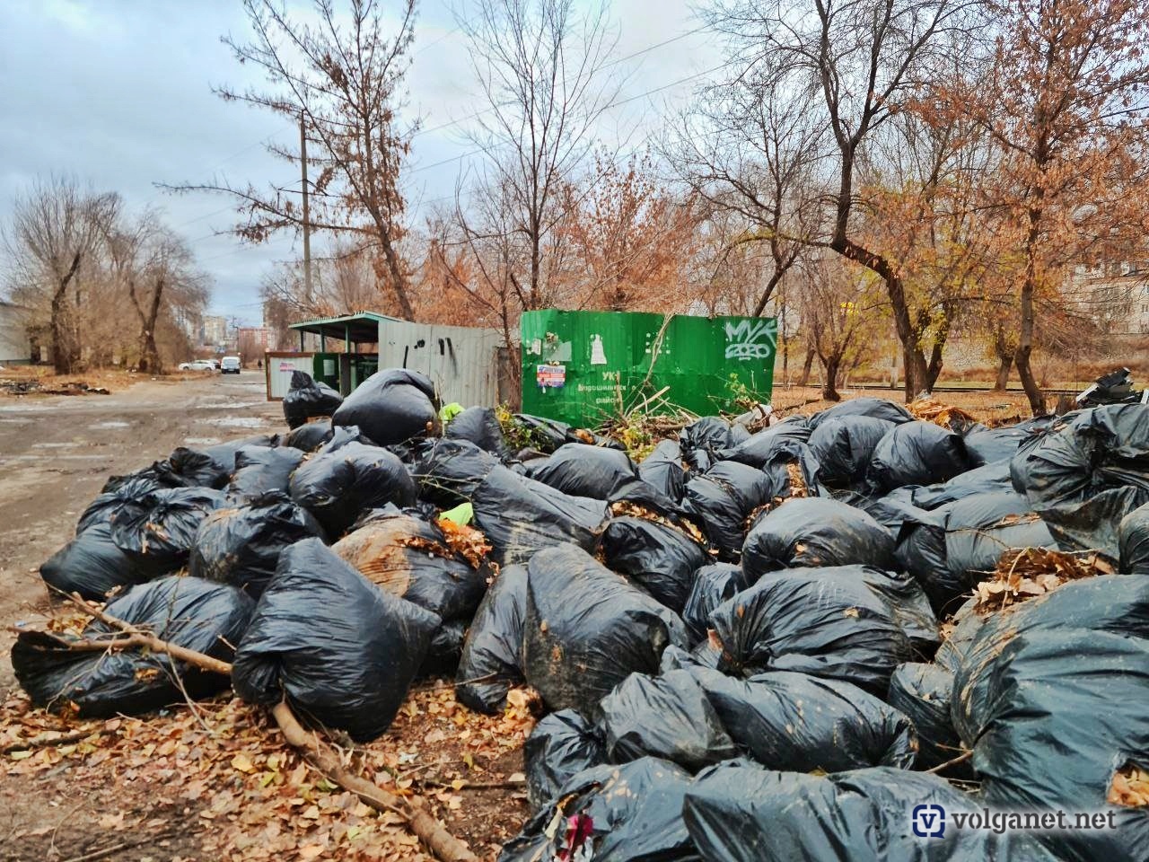 Чёрные мешки для… : в Волгограде регоператор открестился от вывоза веток и  листьев - Volganet.net