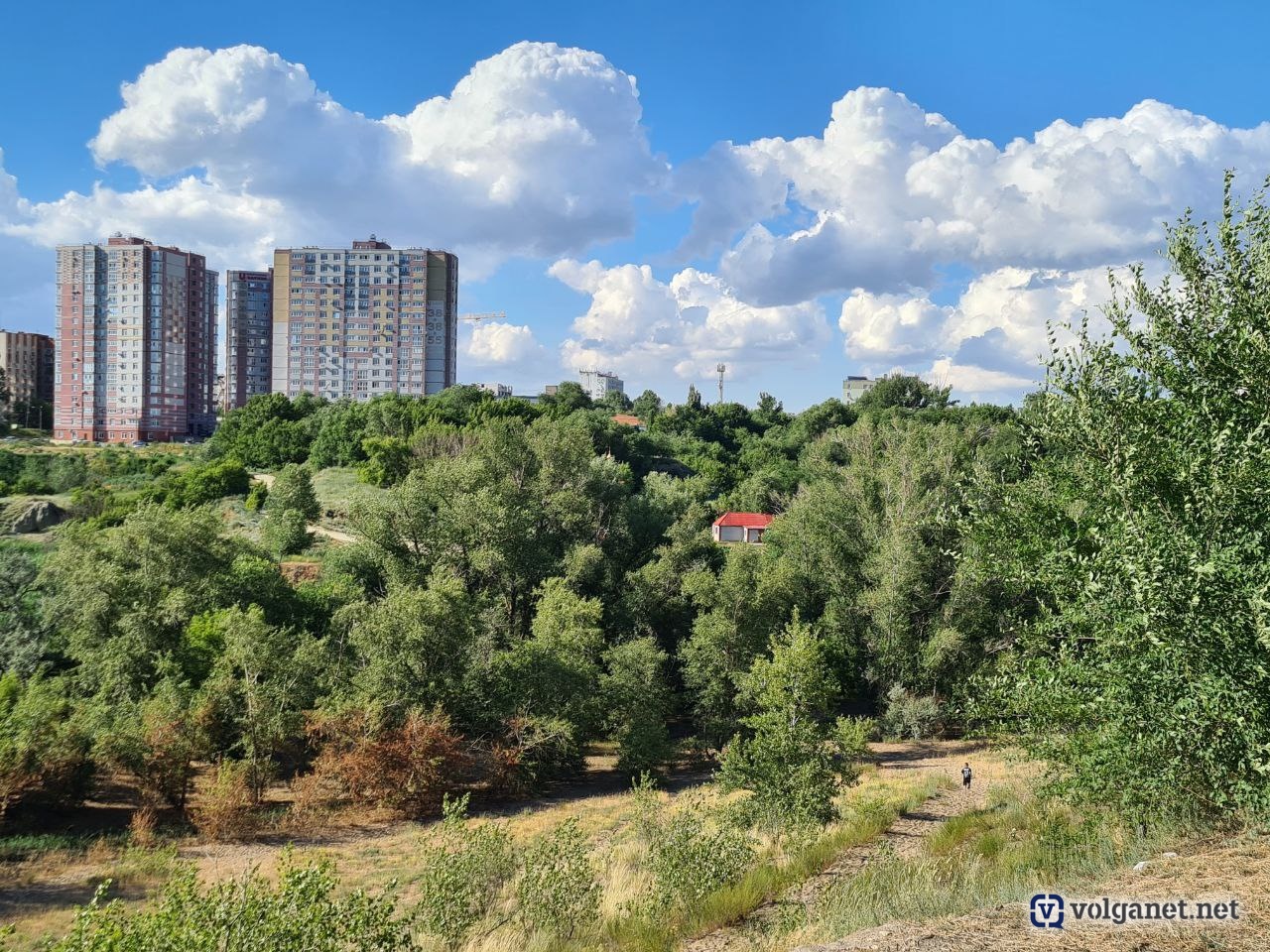 Узнаём наше: Живая вода, или Чудотворный источник в центре Волгограда -  Volganet.net