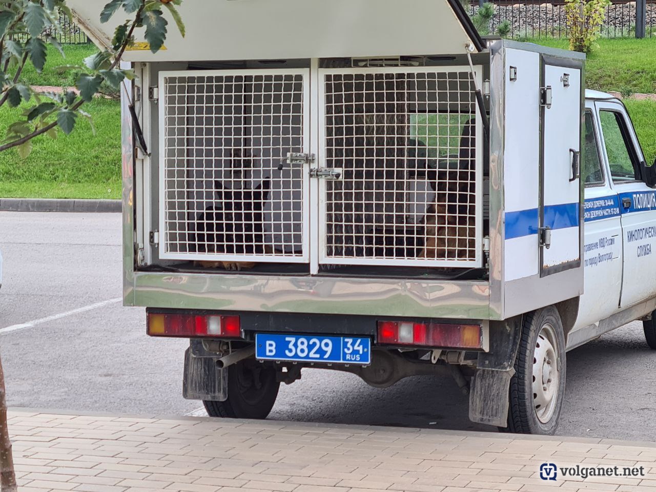 В Волгограде задержаны нападавшие на прохожих с молотком подростки -  Volganet.net