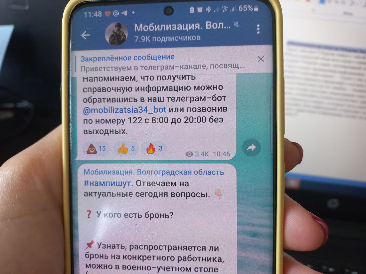 В Волгоградской области Telegram-бот по вопросам мобилизации собирает  жалобы - Volganet.net